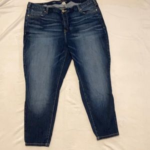 Lane Bryant - “Skinny Jean”